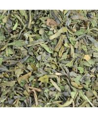 Чай зеленый ароматизированный Світ чаю Марокканская мята 50 г