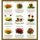 Подарочный набор вязаного чая - Цветочные шедевры